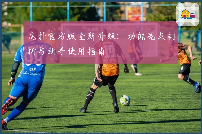 虎扑官方版全新升级：功能亮点剖析与新手使用指南