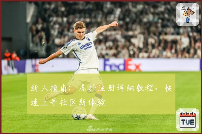 新人指南：虎扑注册详细教程，快速上手社区新体验